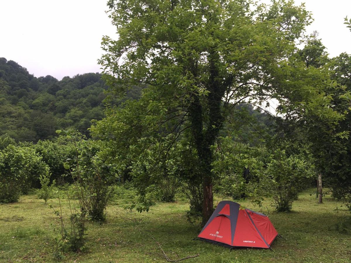 Dumbo Eco Camp Hotell Ozurget'i Eksteriør bilde