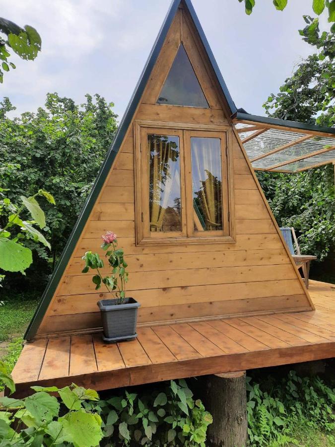 Dumbo Eco Camp Hotell Ozurget'i Eksteriør bilde