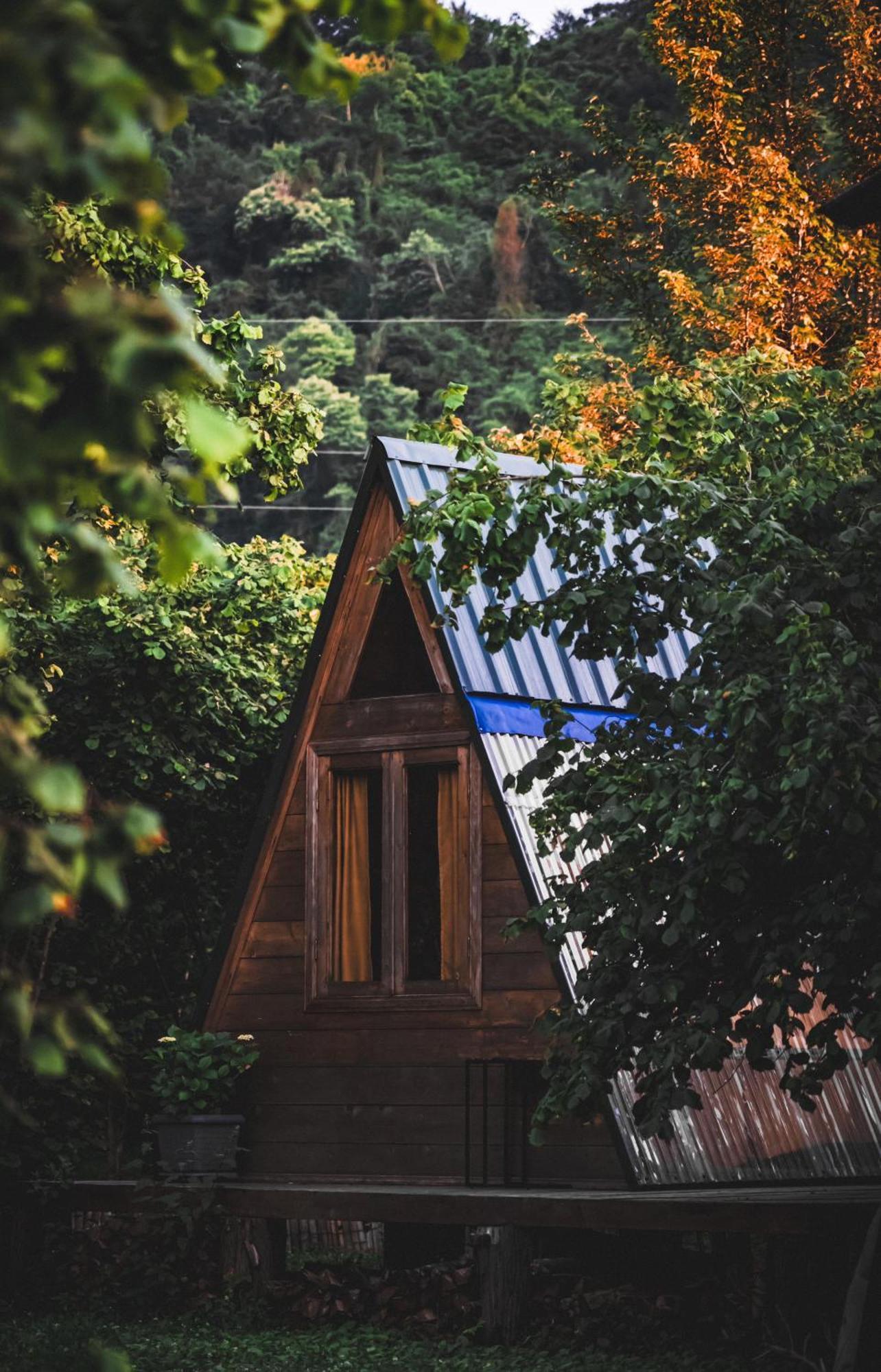 Dumbo Eco Camp Hotell Ozurget'i Eksteriør bilde